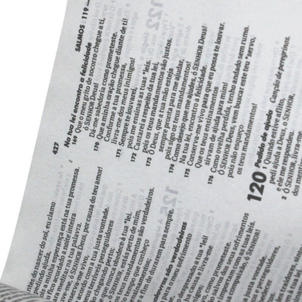Biblia Sagrada Mig e Meg - Capa Verde Com Azul - Sbb - Imagem 3