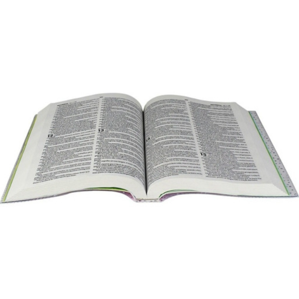 Biblia Sagrada Mig e Meg - Capa Verde Com Azul - Sbb - Imagem 6