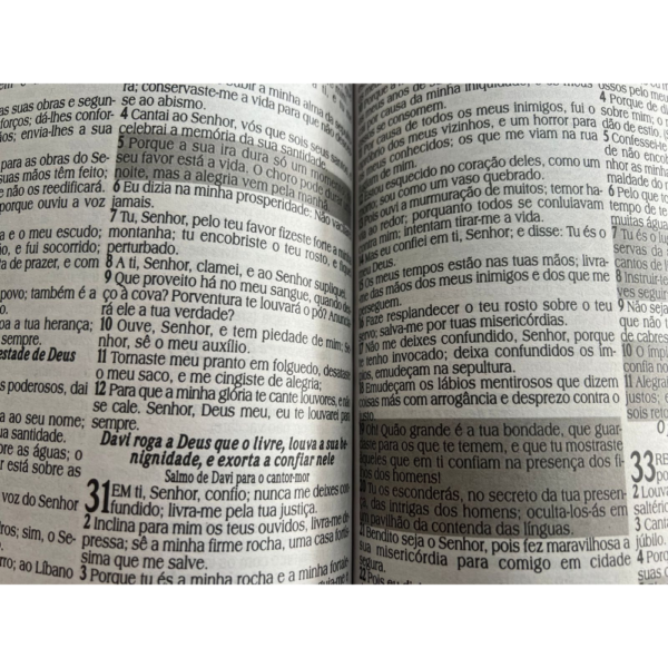 Biblia Letra Jumbo com harpa, com indice e capa com ziper kit com 2, Capa preta e Florida com rosas - Image 3