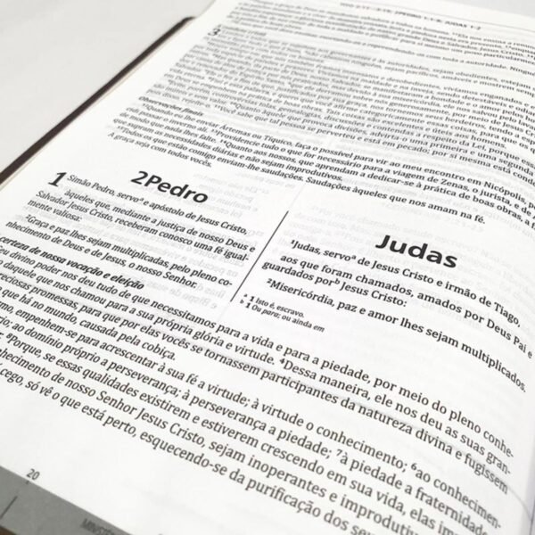 Bíblia De Estudo Integrada | Nvi | Capa Luxo Marrom - Imagem 6