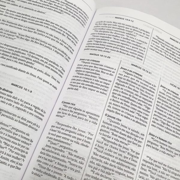 Bíblia De Estudo Integrada | Nvi | Capa Luxo Marrom - Imagem 7