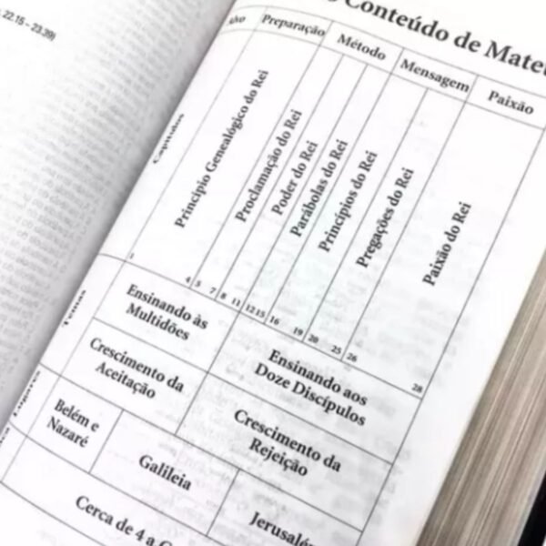 Biblia de Estudo King James Atualizada Vinho - Image 5