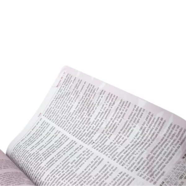 Bíblia Da Pregadora Pentecostal Florida + Capa Brinde - Sem indice - Imagem 5