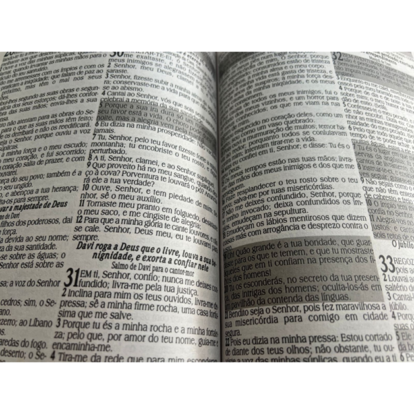 Miolo de Biblia Letra Jumbo folha eco tipo jornal com harpa -SÓ MIOLO NÃO TEM CAPA - Imagem 2