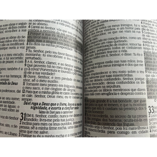 Miolo de Biblia Letra Jumbo folha eco tipo jornal com harpa -SÓ MIOLO NÃO TEM CAPA - Imagem 3