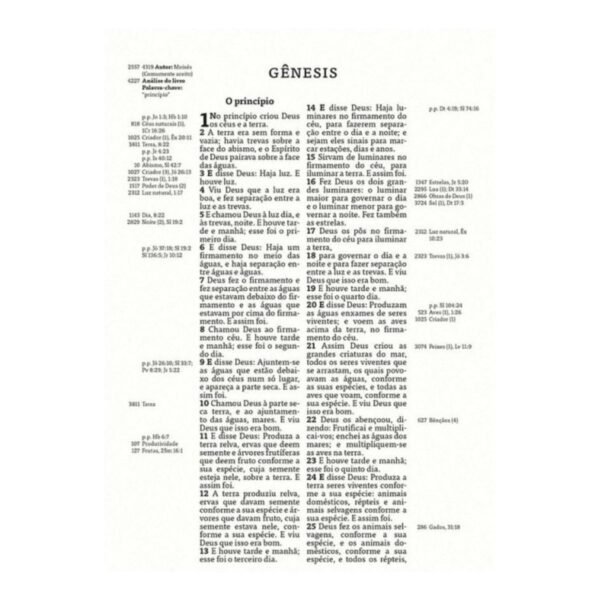Bíblia De Estudo Thompson Letra Grande | Verde e Vinho - Imagem 5