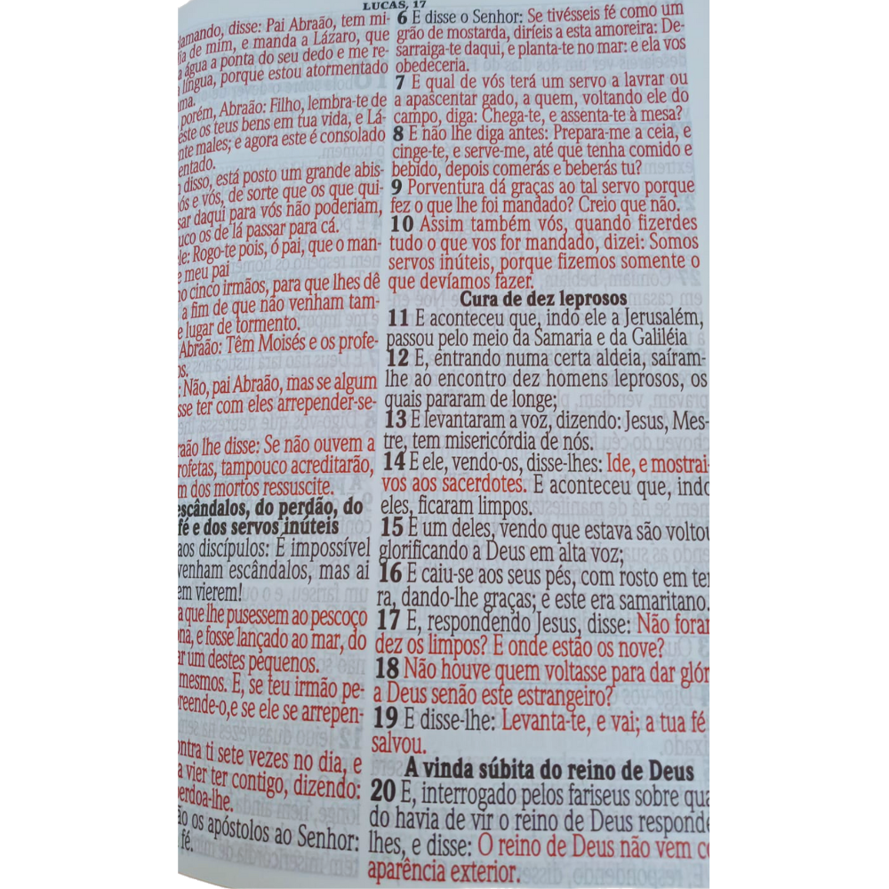 Biblia Jumbo - Folha Branca - Luxo - Imagem 5