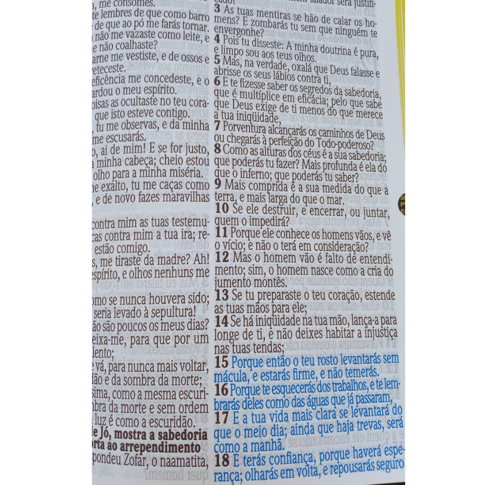 Biblia Jumbo - Folha Branca - Luxo - Imagem 6