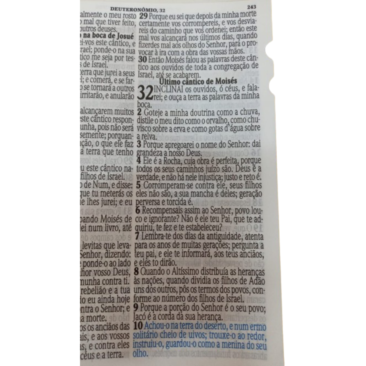 Biblia Jumbo - Folha Branca - Luxo - Imagem 3