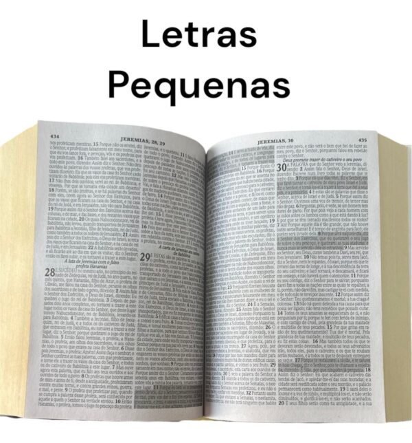 Biblia Pequena para crianças | Capa Dura Ovelha - Imagem 6