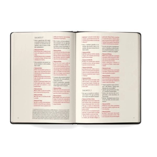 Biblia Contexto | Salmos e Proverbios | NVT | Capa Dura Vinho - Image 5