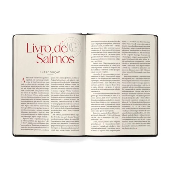 Biblia Contexto | Salmos e Proverbios | NVT | Capa Dura Vinho - Image 3