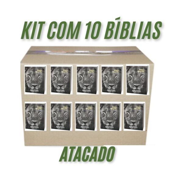 Biblia Brochura Pequena Capa leão - Atacado