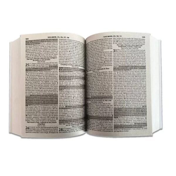 Biblia Brochurra Pequena - king cross - Imagem 2