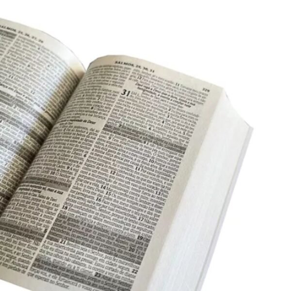 Biblia Brochurra Pequena - king cross - Imagem 3