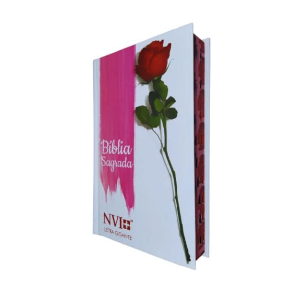 Bíblia Nvi - Letra Gigante - Capa Dura Botão De Rosa - Imagem 5