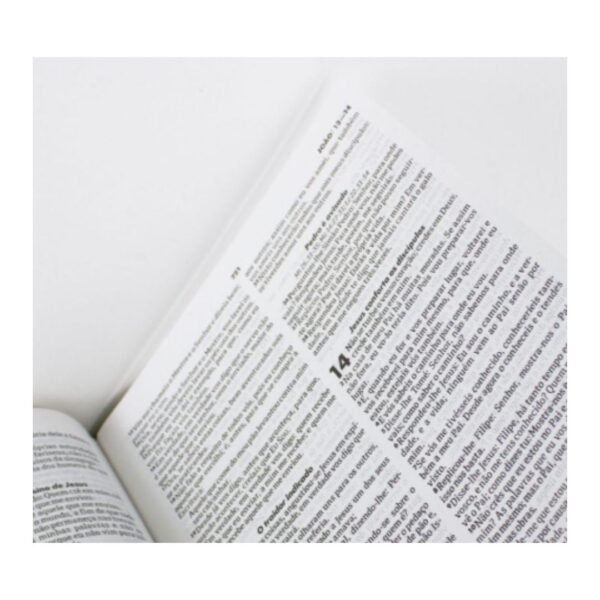 Biblia Capa Dura RA - SBB - Imagem 2
