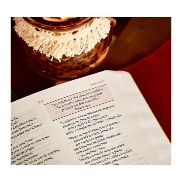 Biblia da Mulher de Fé - Lírios do Campo ( Laço) - Imagem 5