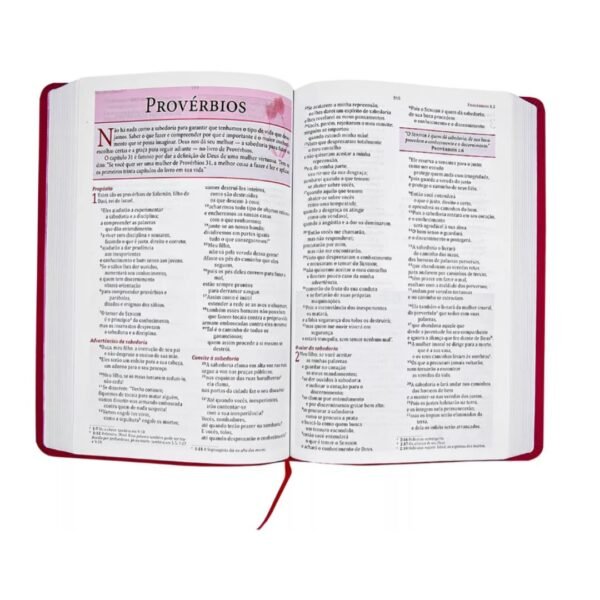 Biblia da Mulher de Fé - Rosa - Imagem 3