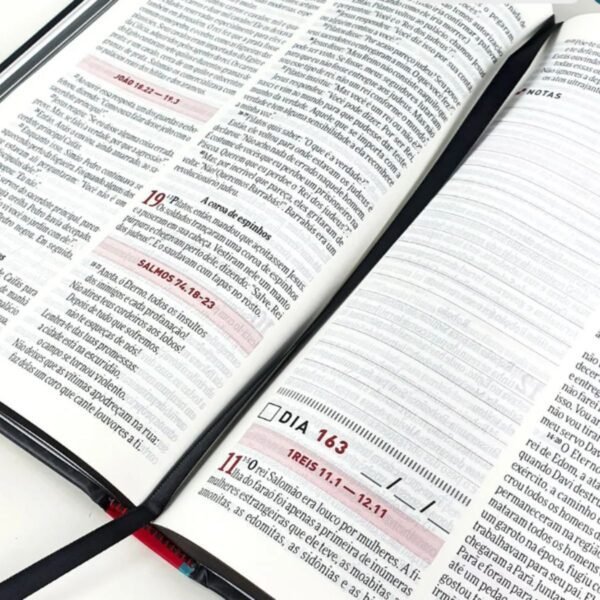 Biblia Todo Dia | O Retiro - Imagem 4