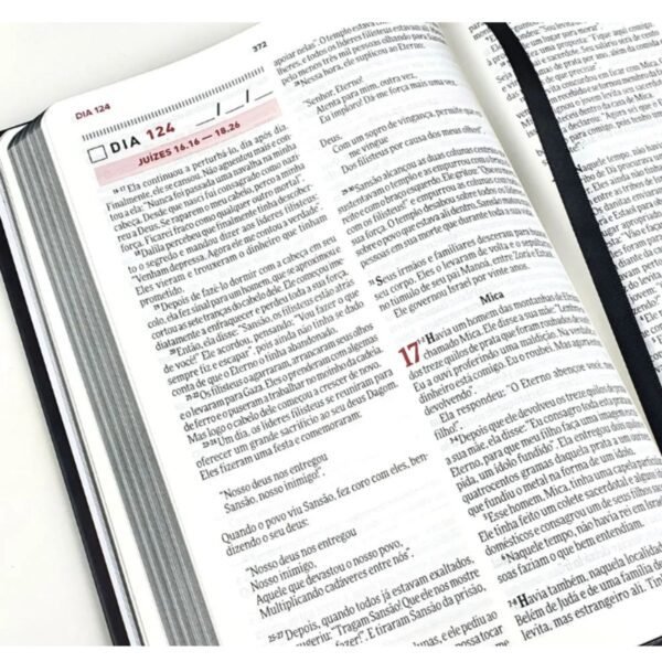 Biblia Todo Dia | O Retiro - Imagem 5