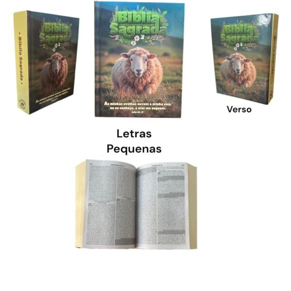 Biblia Pequena para crianças | Capa Dura Ovelhinha