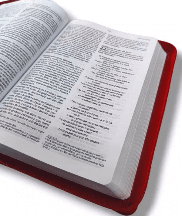 Biblia NVI Com Ziper Vermelho | Esta Consumado - Imagem 4