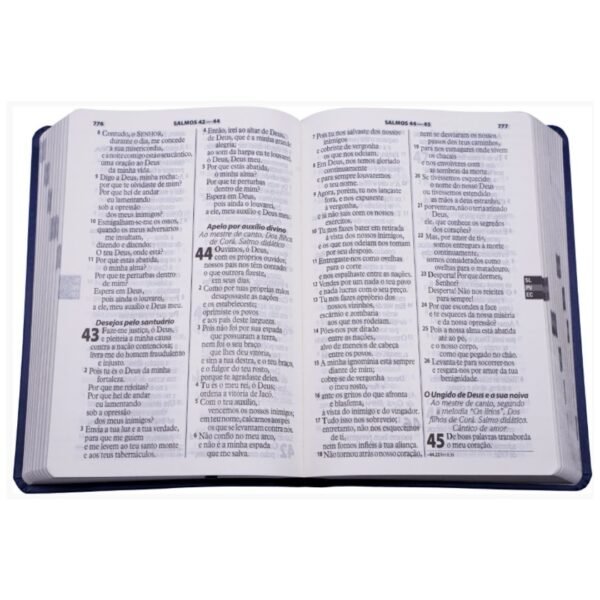 BIBLIA ED ECONOM CP AZUL | RA |SBB - Imagem 3