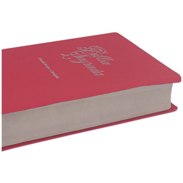 BIBLIA ED ECONOM CP PINK | RC |SBB - Imagem 2