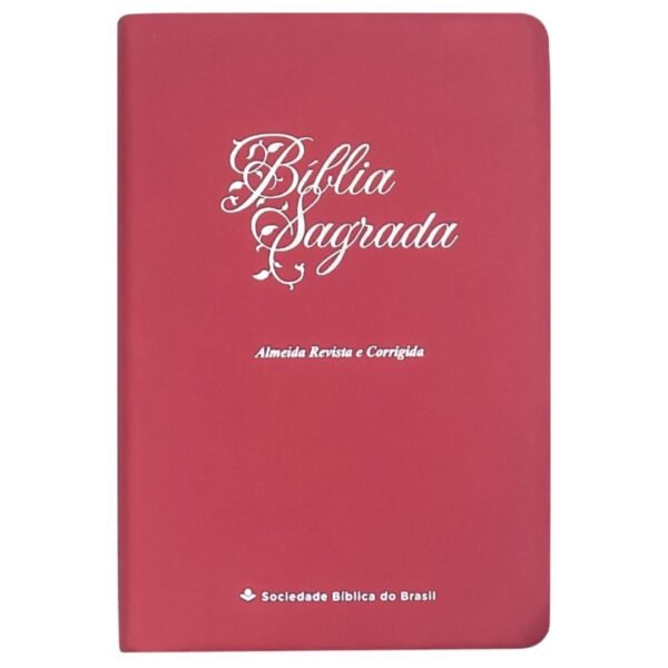 BIBLIA ED ECONOM CP PINK | RC |SBB - Imagem 5