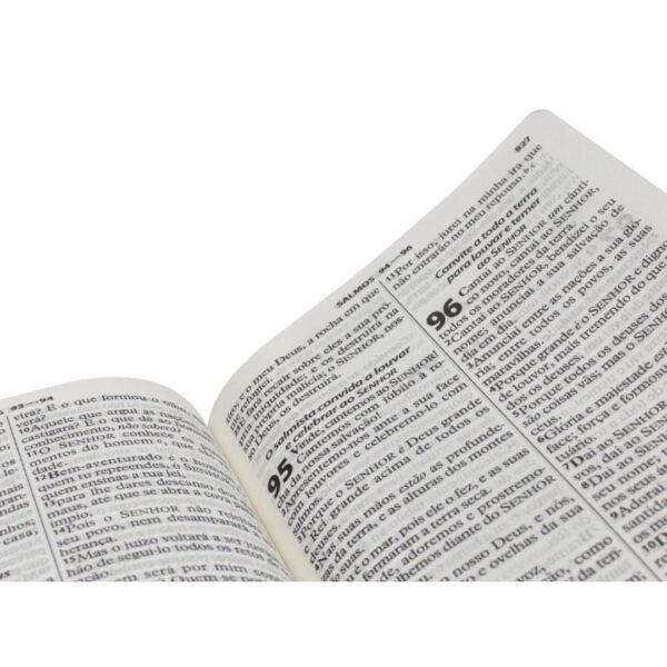 BIBLIA ED ECONOM CP PINK | RC |SBB - Imagem 4