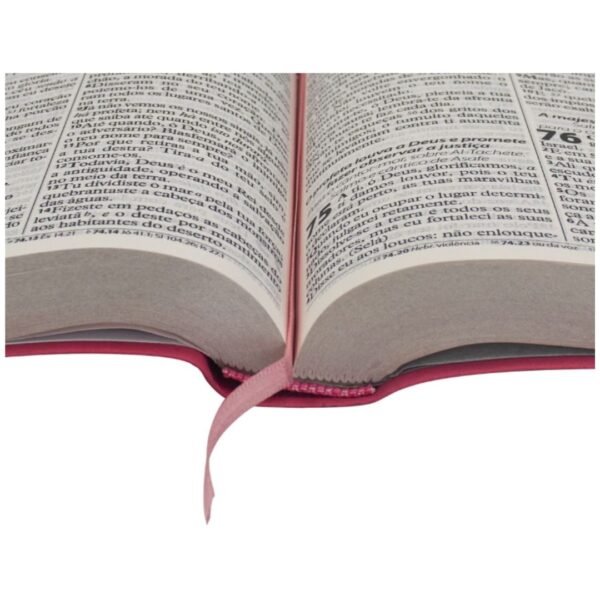 BIBLIA ED ECONOM CP PINK | RC |SBB - Imagem 3