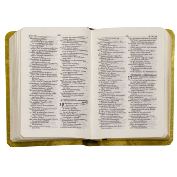 Biblia de Bolso Capa Semiflexivel | Leão Dourado - Imagem 3