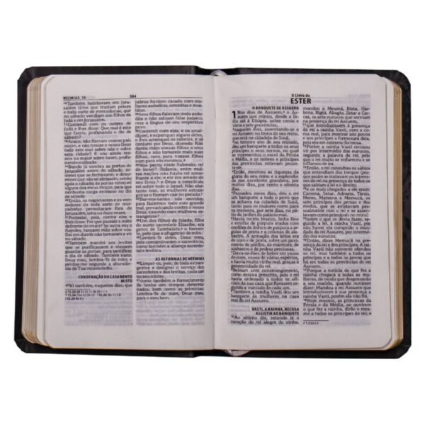 Biblia de Bolso Capa Semiflexivel | Coroa - Imagem 3