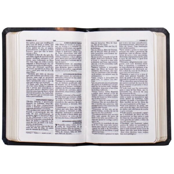 Biblia de Bolso Capa Semiflexivel | Leão - Imagem 2