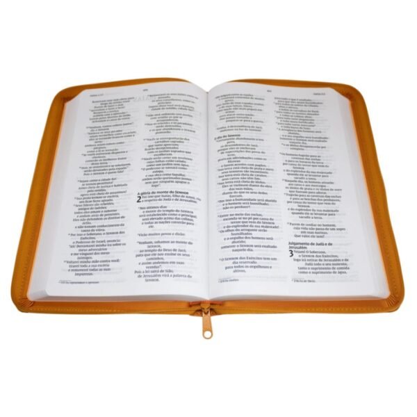 Biblia NVI Com Ziper Laranja | Ele voltará - Imagem 3