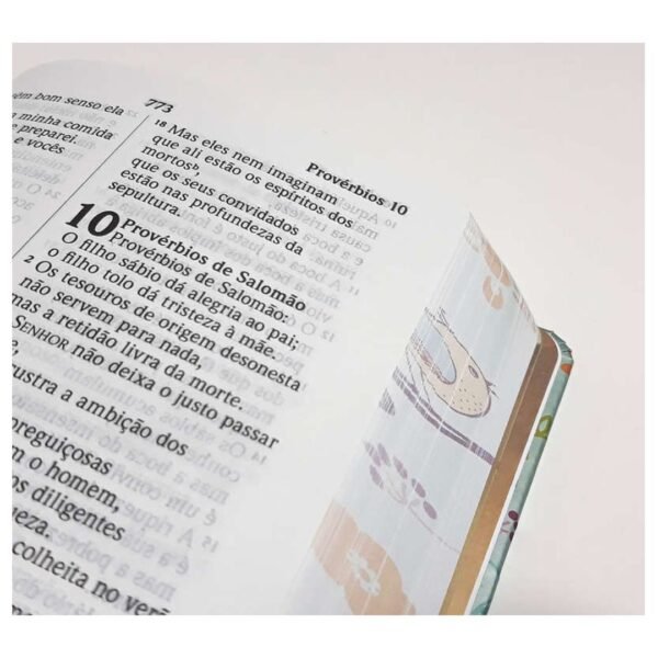 Bíblia Especial Letra Grande | Um tempo especial com Deus - Imagem 2