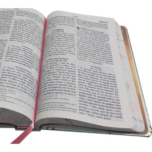 Bíblia Especial Letra Grande | Um tempo especial com Deus - Imagem 3