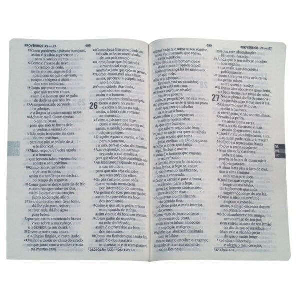 Biblia Letra Grande, Capa Pink, Indice Impresso, Ziper - Imagem 3