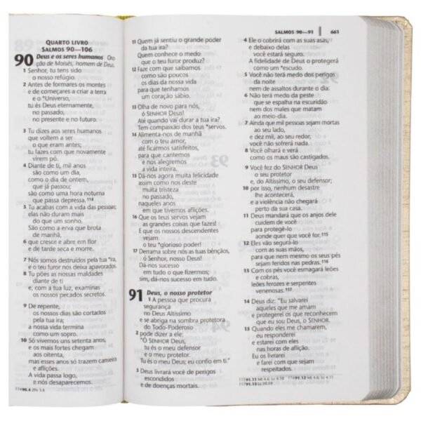 Biblia letra Grande SBB - Linha Cristal | Capa Dura | Dourdado Fosco - Imagem 3