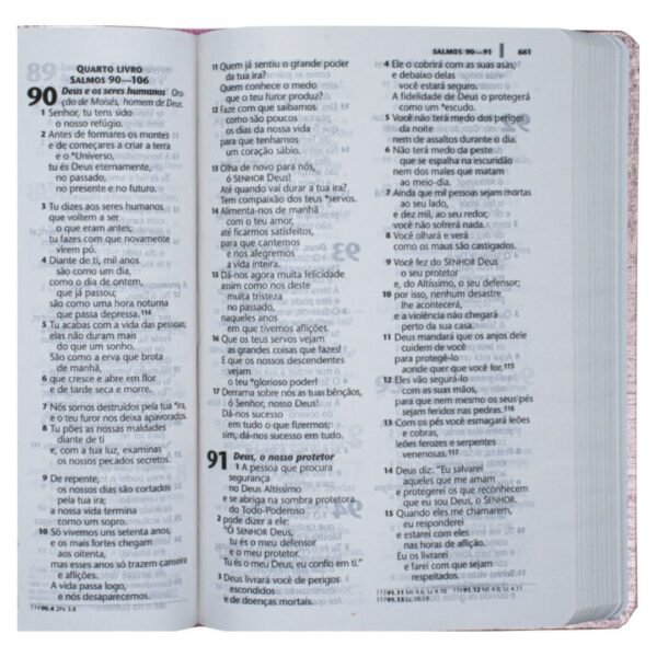 Biblia letra Grande SBB - Linha Cristal | Rosa | NTLH - Imagem 2