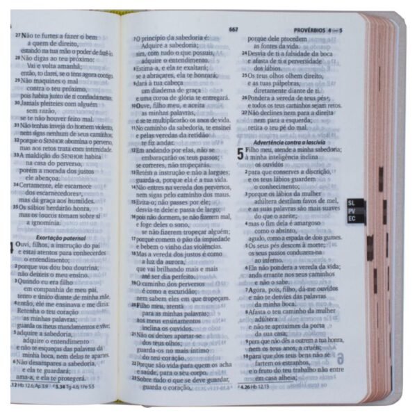 Biblia letra Grande SBB - Linha Cristal | Flor | RA - Imagem 2