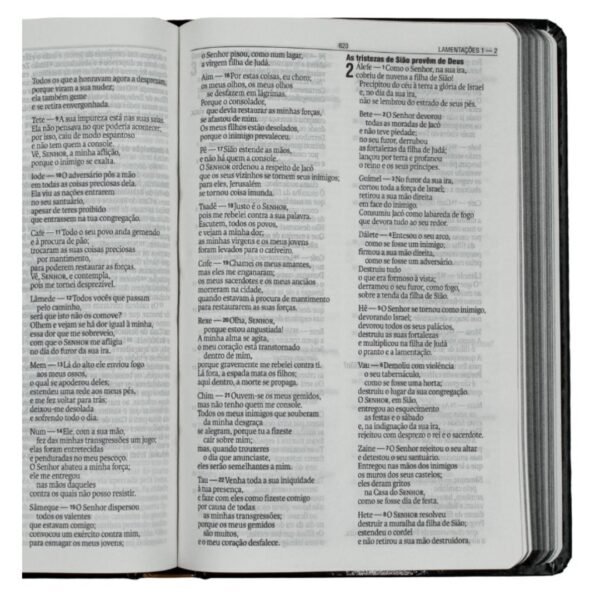 Biblia Capa Dura Leão | Lançamento SBB - Imagem 3