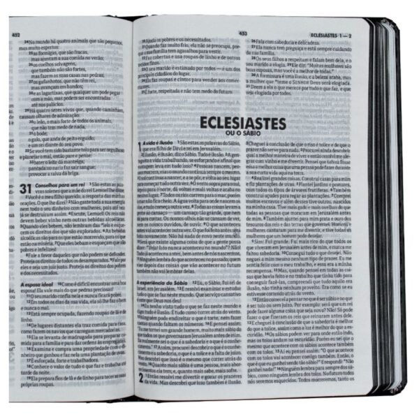 Biblia Capa Dura Leão | Lançamento SBB - Imagem 4