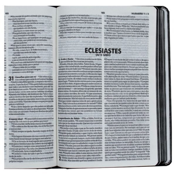 Biblia Capa Dura Leão 2 | Lançamento SBB - Imagem 3