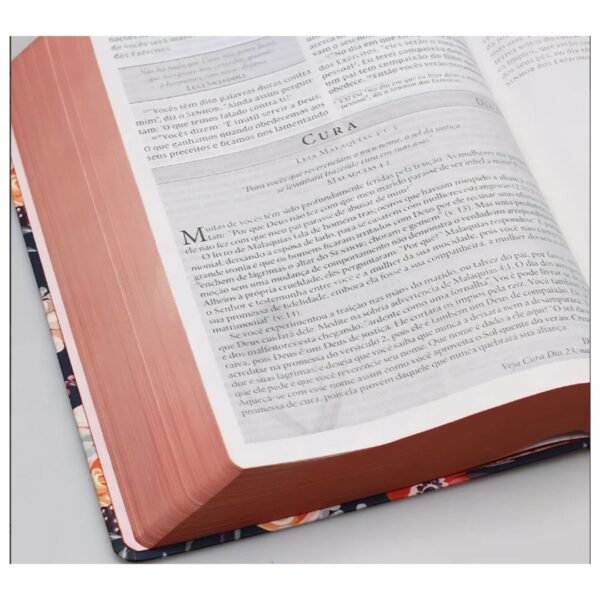 Biblia da Mulher de Fé - Letra Grande NVI - Florida - Imagem 3
