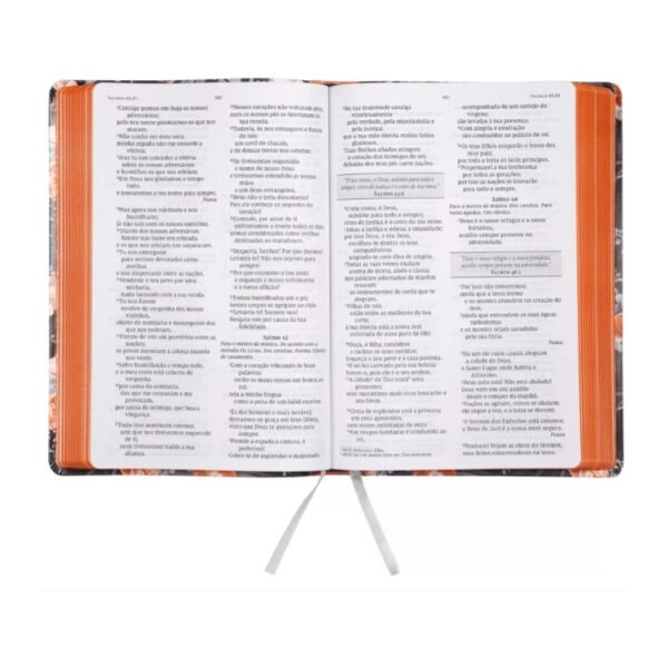 Biblia da Mulher de Fé - Letra Grande NVI - Florida - Imagem 4