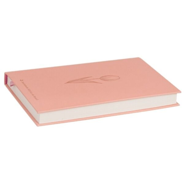 Biblia NAA Rosetan | Capa Dura - Imagem 2