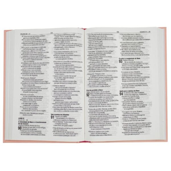 Biblia NAA Rosetan | Capa Dura - Imagem 3