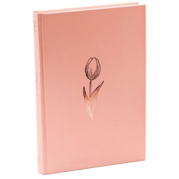 Biblia NAA Rosetan | Capa Dura